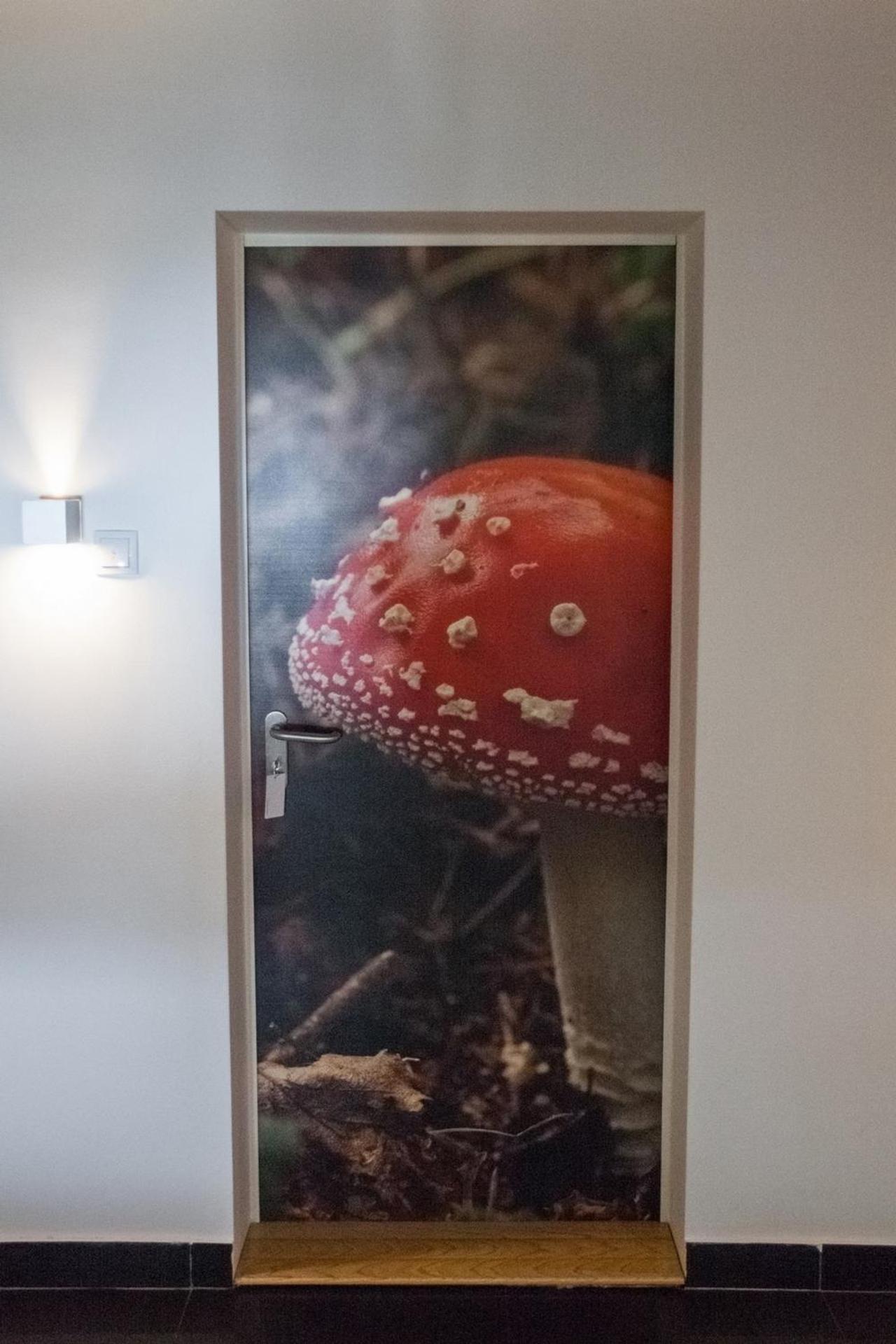 Vila Plamenac Divčibare Eksteriør billede